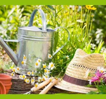 6 ابزار باغبانی برای تازه کارها